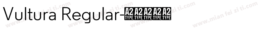 Vultura Regular字体转换